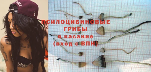 кокаин премиум Богданович
