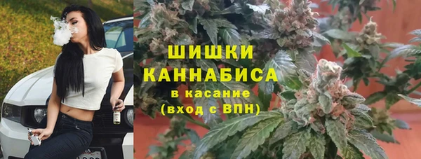 эйфоретик Богородицк